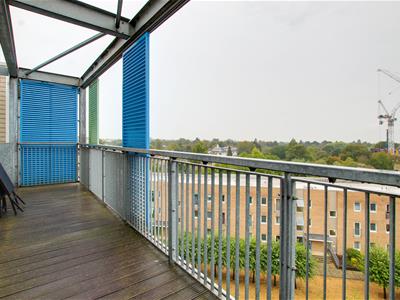 Picture 6